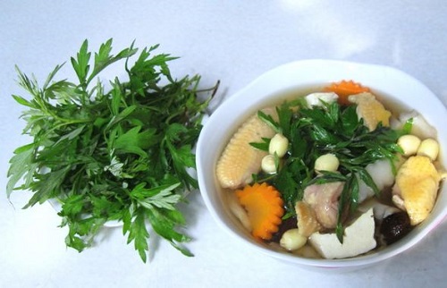 Ngải cứu c&oacute; thể g&acirc;y hại cho 13Win19 ưu đãi hấp dẫn như rối loạn đường h&ocirc; hấp, co giật, n&oacute;i nhảm...