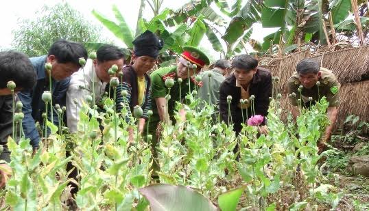 ma túy ở điện biên ma túy ở điện biên
