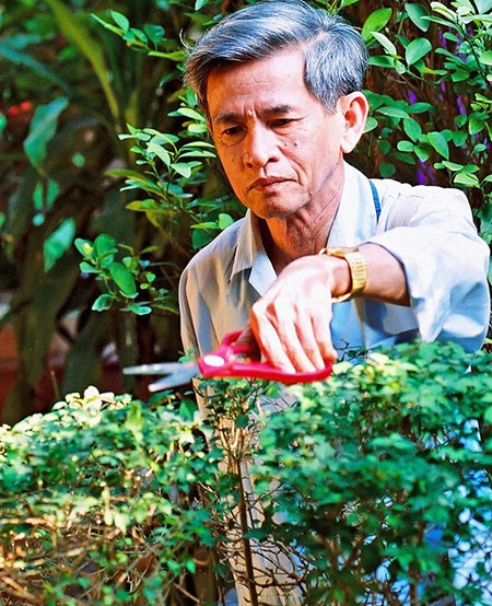 mai th&uacute;c l&acirc;n, tiểu sử &ocirc;ng mai th&uacute;c l&acirc;n, xứ quảng, chốn kinh bắc, nơi hay c&atilde;i