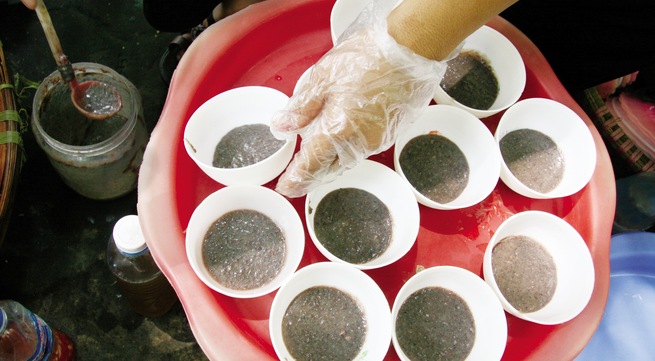 Kiết lị, giun sán, thương hàn, mắm tôm có dòi, Vệ sinh y tế