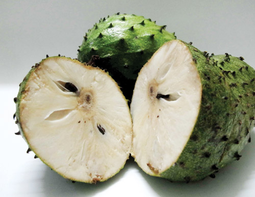 M&atilde;ng cầu xi&ecirc;m chữa ung thư