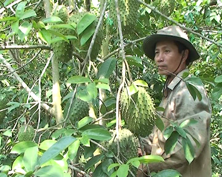 Ứng dụng kỹ thuật n&acirc;ng cao hiệu quả sản xuất n&ocirc;ng nghiệp