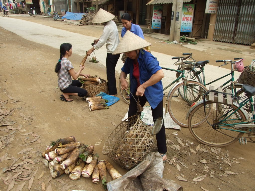 Măng vầu