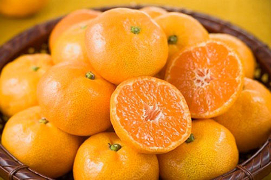 Món ngon ngày Tết mang đến sự đại cát cho năm mới Món ngon ngày Tết mang đến sự đại cát cho năm mới