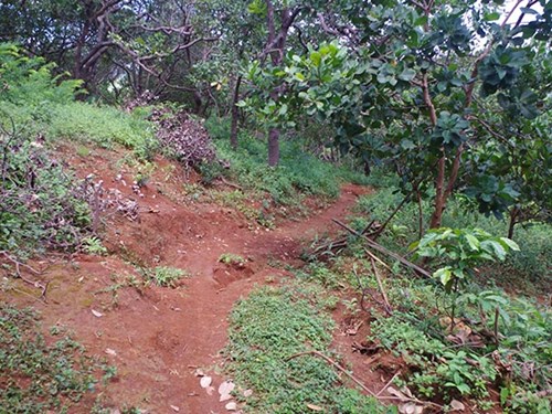 Được biết, nguy&ecirc;n nh&acirc;n dẫn đến nghi &aacute;n &lsquo;mẹ giết con ở B&igrave;nh Phước&rsquo; l&agrave; do người mẹ trẻ giận nh&agrave; chồng