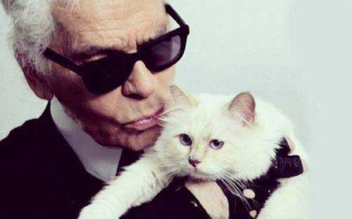 m&egrave;o Choupette - th&uacute; cưng của nh&agrave; thiết kế thời trang nổi tiếng thế giới Karl Lagerfeld 