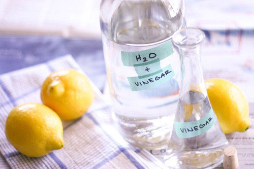 Mẹo tẩy mốc quần &aacute;o hiệu quả l&agrave; d&ugrave;ng vải mềm thấm một &iacute;t dấm lau l&ecirc;n chỗ bị mốc
