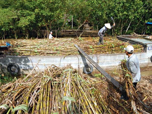 Đường của HAGL tại L&agrave;o 'chảy' về Việt Nam