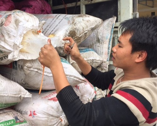 Mỡ bẩn su&yacute;t &lsquo;đội lốt&rsquo; dầu c&aacute; đầu độc người 13Win18 đa dạng khuyến mãi