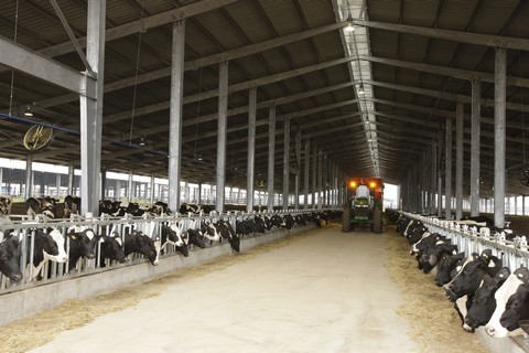 Tập đo&agrave;n TH ch&uacute; trọng ứng dụng c&ocirc;ng nghệ cao từ c&aacute;c nước ti&ecirc;n tiến để n&acirc;ng cao năng suất chất lượng sản phẩm sữa tươi