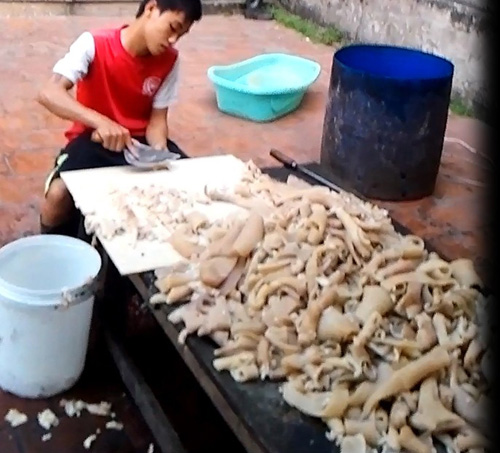 B&ecirc;n trong cơ sở ch&ecirc;́ bi&ecirc;́n mỡ b&acirc;̉n ở Bình Lương