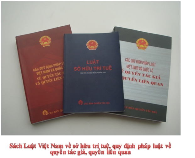 Việt Nam đ&atilde; ch&iacute;nh thức gia nhập c&ocirc;ng ước Berne về bảo hộ quyền sở hữu tr&iacute; tuệ cho t&aacute;c phẩm văn học, nghệ thuật từ năm 2004