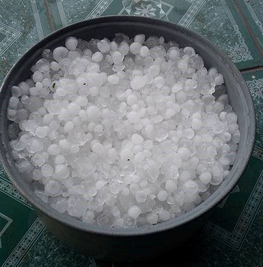 Mưa đ&aacute; c&oacute; k&iacute;ch thước lớn bằng quả trứng g&agrave; khiến nh&agrave; n&ocirc;ng thiệt hại nặng