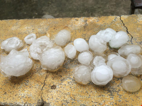 Mưa đ&aacute; to bằng quả trứng g&agrave; rơi li&ecirc;n tiếp xuống Nghệ An trong khoảng 20 ph&uacute;t khiến người d&acirc;n lo sợ