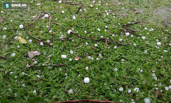Mưa đ&aacute; 'oanh tạc' l&agrave;m tan n&aacute;t nhiều t&agrave;i sản của người d&acirc;n L&agrave;o Cai, Nghệ An