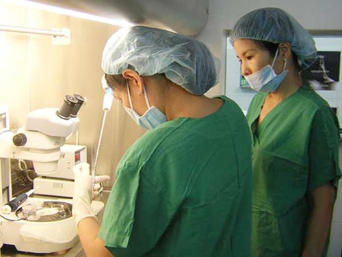 Mua b&aacute;n trứng phụ nữ diễn biến kh&oacute; lường