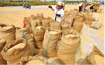 Những vụ thu gom n&ocirc;ng sản 'qu&aacute;i gở' của TQ