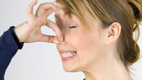 Những bí &acirc;̉n v&ecirc;̀ mùi cơ th&ecirc;̉