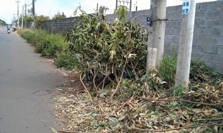 Trục đường với địa hình thoáng thế này thì đây là cách ngụy trang tối ưu