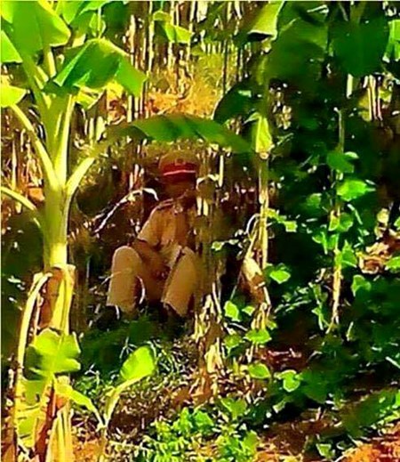 Khó ai có thể nhận ra bên trong lùm chuối CSGT đang làm nhiệm vụ bắn tốc độ