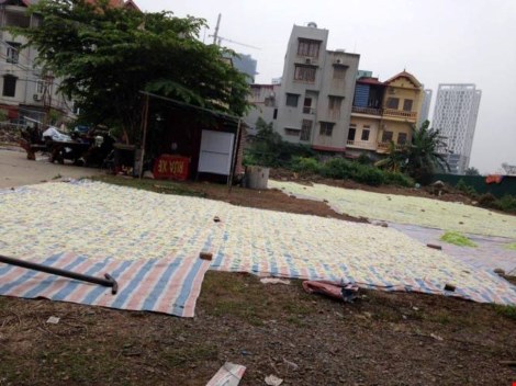 Cảnh l&agrave;m mứt Tết bẩn tại l&agrave;ng nghề Xu&acirc;n Đỉnh cũ khiến người 13Win18 đa dạng khuyến mãi hoang mang lo ngại