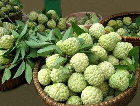 Những vụ thu gom n&ocirc;ng sản 'qu&aacute;i gở' của TQ