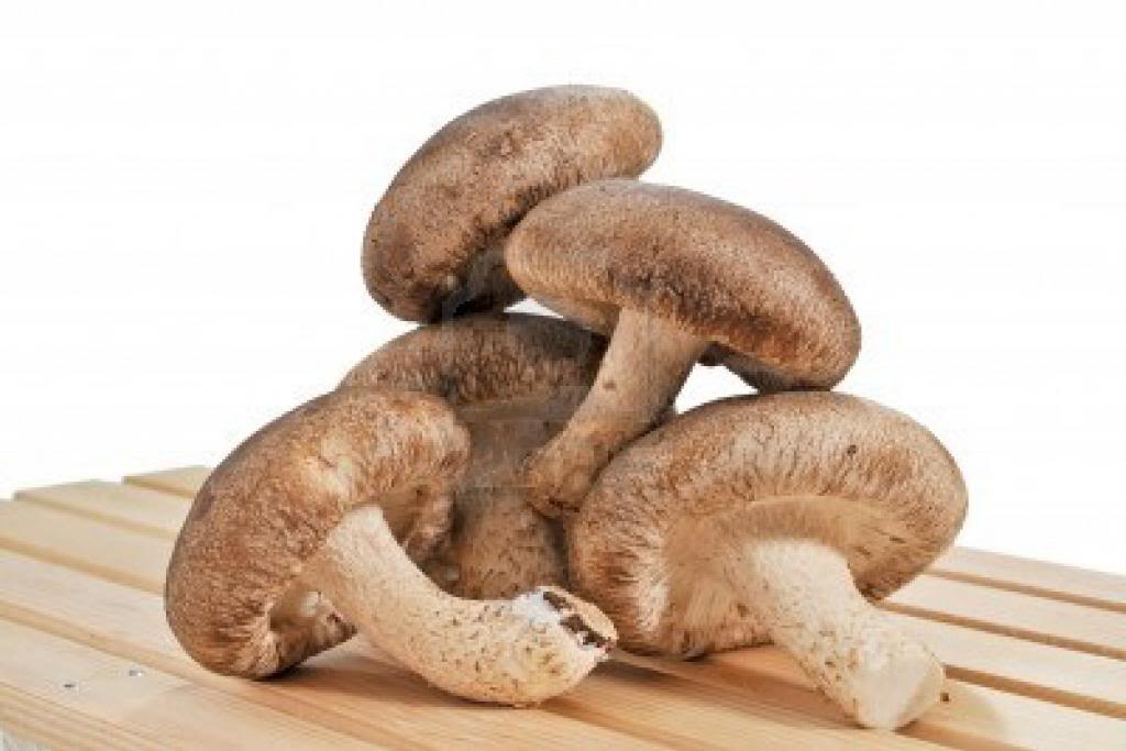 B&agrave;i thuốc d&acirc;n gian chữa bệnh từ nấm hương được nhiều người ch&uacute; &yacute; 