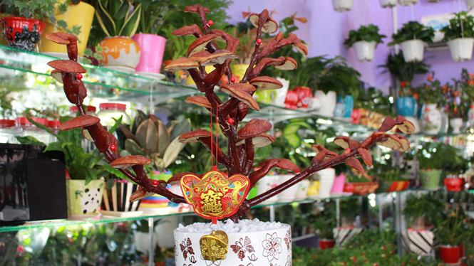 Gi&aacute; nấm linh chi bonsai c&oacute; thể l&ecirc;n tới cả chục triệu đồng nhưng lu&ocirc;n trong t&igrave;nh trạng hết h&agrave;ng