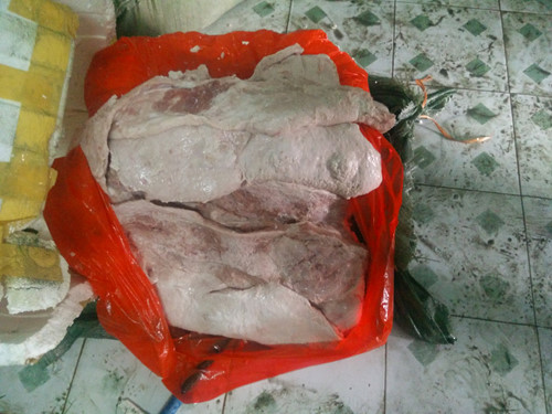Số nầm lợn đều được tẩm ướp 13Win21 con - Tri ân hội viên mỗi tháng 2000 tỷ bảo quản