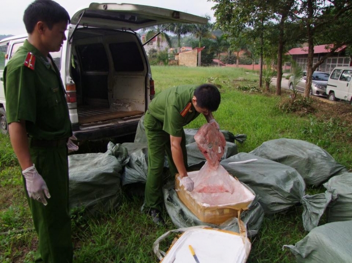  gần 1 tấn nội tạng thối đang tr&ecirc;n đường ti&ecirc;u thụ