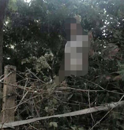 Nam sinh treo cổ tự tử tr&ecirc;n c&agrave;nh c&acirc;y gần trước cổng ch&ugrave;a