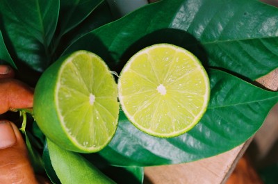 Chanh kh&ocirc;ng hạt chất lượng tốt đủ ti&ecirc;u chuẩn xuất khẩu đi c&aacute;c thị trường kh&oacute; t&iacute;nh