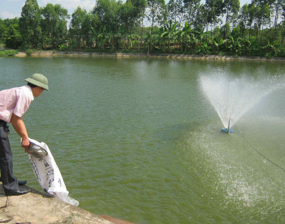 Xử l&yacute; m&ocirc;i trường ao nu&ocirc;i gi&uacute;p đảm bảo năng suất ở c&aacute;c vụ nu&ocirc;i c&aacute; tiếp theo