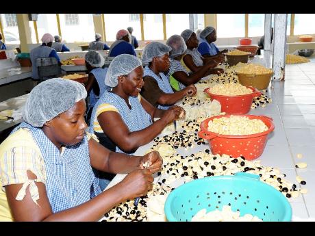 Jamaica một lần nữa gặp kh&oacute; khăn trong việc cải c&aacute;ch Sòng Bài Trực Tuyến 13Win.com v&agrave; năng suất 13Win18 cá cược thể thao 