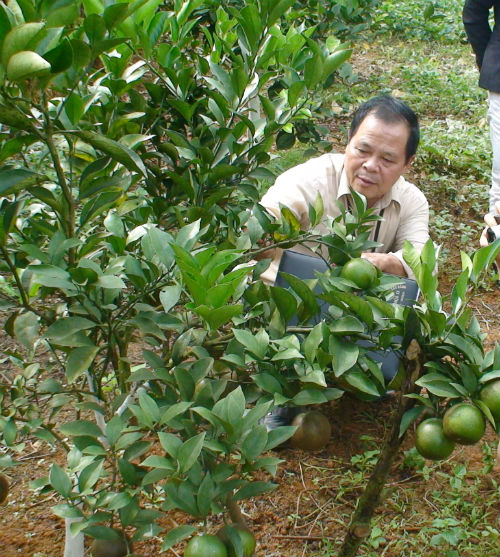 N&acirc;ng cao năng suất chất lượng sản phẩm h&agrave;ng h&oacute;a tỉnh Cao Bằng