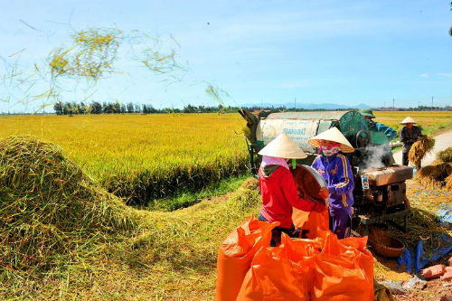 Năng suất ng&agrave;nh n&ocirc;ng nghiệp Việt Nam đạt thấp
