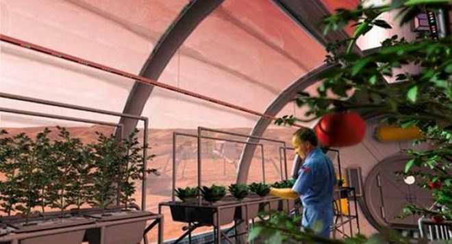 NASA trồng c&acirc;y tr&ecirc;n sao hỏa