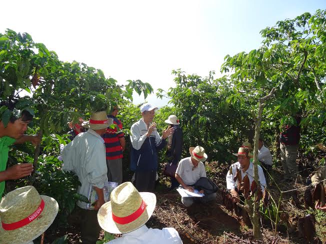 Dự &aacute;n Nescaf&eacute; Plan kh&ocirc;ng chỉ n&acirc;ng cao năng suất chất lượng c&agrave; ph&ecirc; m&agrave; c&ograve;n gi&uacute;p b&agrave; con T&acirc;y Nguy&ecirc;n c&oacute; th&ecirc;m thu nhập