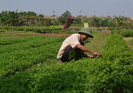 C&aacute;c c&aacute;ch trị mụn từ thi&ecirc;n nhi&ecirc;n được ph&aacute;i đẹp ng&agrave;y c&agrave;ng ch&uacute; &yacute;