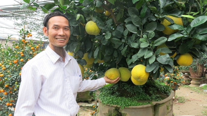 &Ocirc;ng B&ugrave;i Thế Mạnh b&ecirc;n c&acirc;y bưởi diễn gi&aacute; 150 triệu đồng được cho l&agrave; c&oacute; thế độc đ&aacute;o nhất nh&igrave; H&agrave; Th&agrave;nh hiện nay