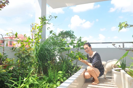 Khu vườn mini của MC Thanh Thảo
