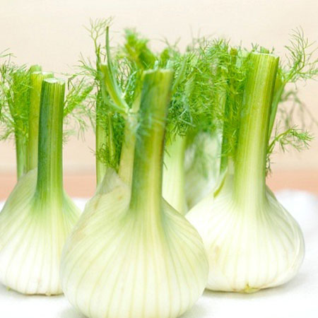Ngăn ngừa cảm c&uacute;m từ th&igrave; l&agrave;