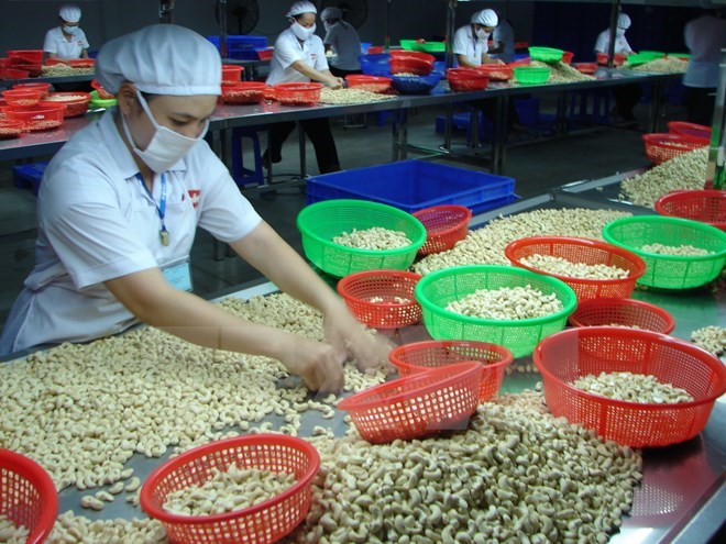 Nhiệm vụ số một của ng&agrave;nh điều hiện nay l&agrave; tăng năng suất để giảm bớt phụ thuộc v&agrave;o nguy&ecirc;n liệu nhập khẩu