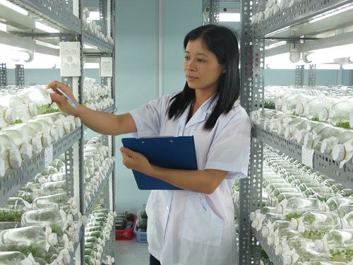 Thi đại học 2014: Tỉ lệ chọi nhiều ng&agrave;nh cao đột biến