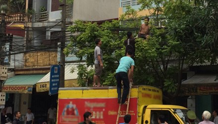 Để m&igrave;nh trần, nam thanh ni&ecirc;n trườn ra đường d&acirc;y điện ở TP Thanh H&oacute;a