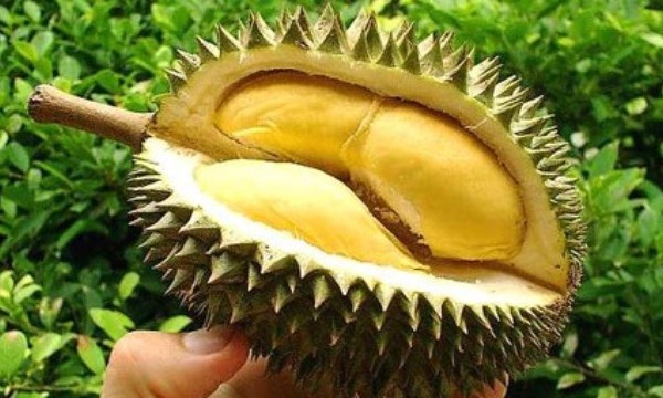 Ngộ độc chết người do ăn sầu ri&ecirc;ng v&agrave; uống coca l&agrave; tin đồn đang được mạng x&atilde; hội truyền nhau