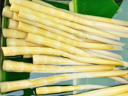 Ngộ độc măng l&agrave; do c&aacute;c enzym ti&ecirc;u h&oacute;a chuyển h&oacute;a axit cyanhydric g&acirc;y hại cho cơ thể