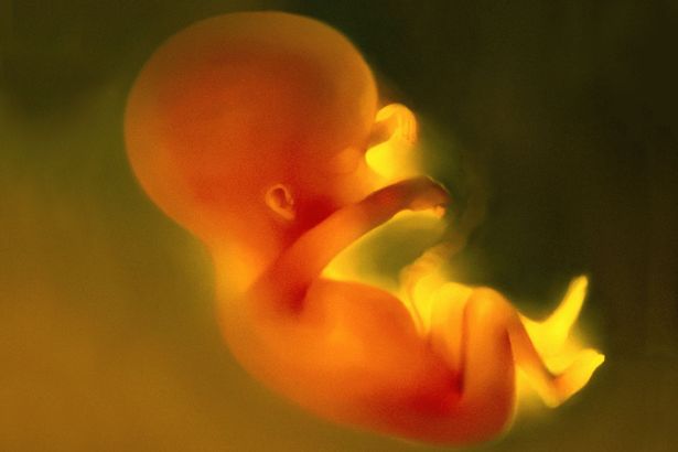 Ngỡ ng&agrave;ng thai nhi 14 tuần tuổi biết nhảy m&uacute;a