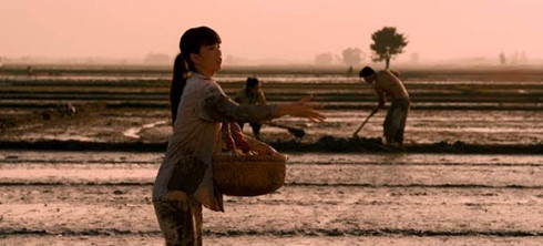 Ngọc Trinh bị &lsquo;đ&agrave;n chị&rsquo; tố b&aacute;n d&acirc;m 