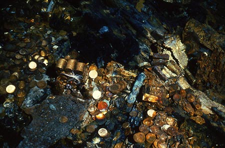 Kh&eacute;p lại hoang tin về kho b&aacute;u N&uacute;i T&agrave;u